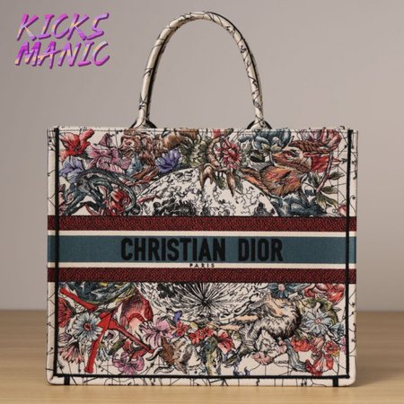 Dior Book Tote Bag